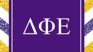 Delta Phi Epsilon Scholarship 2019