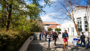 Student Health & Wellbeing Priorities