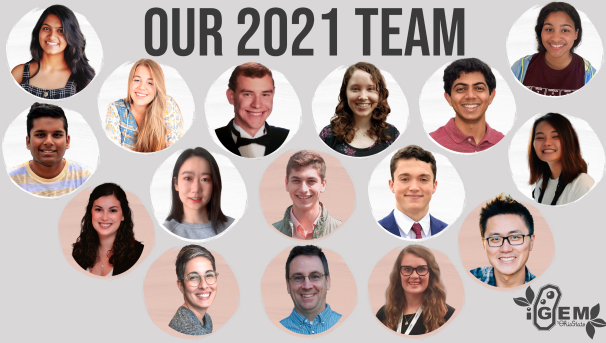 A collage of the 2021 iGem team's headshots. There are 16 individual headshots