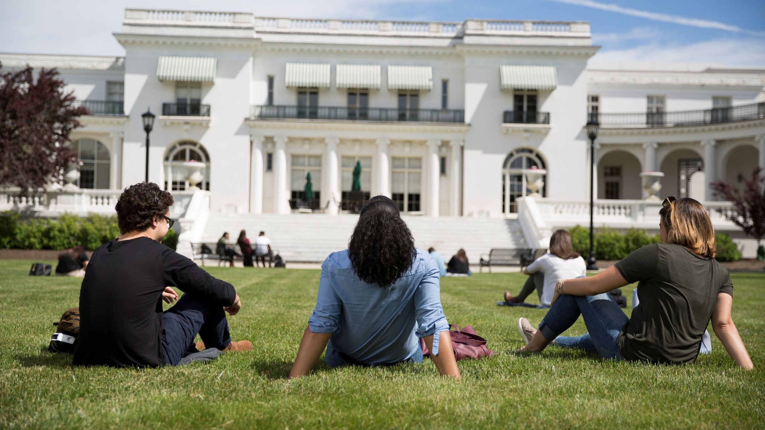 Library Lawn