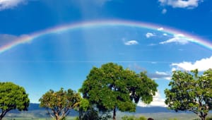 Electrifying the Mountain of Light Orphanage