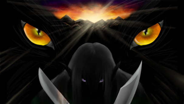 Dark Mirror Image