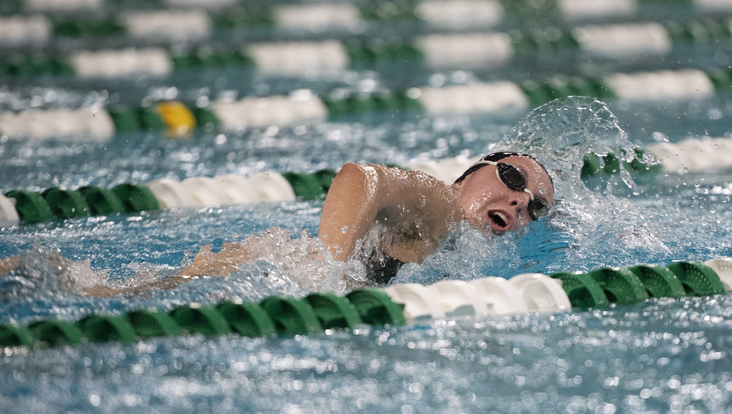 Ohio Swimming and Diving Team Photo, 2023-24 Season