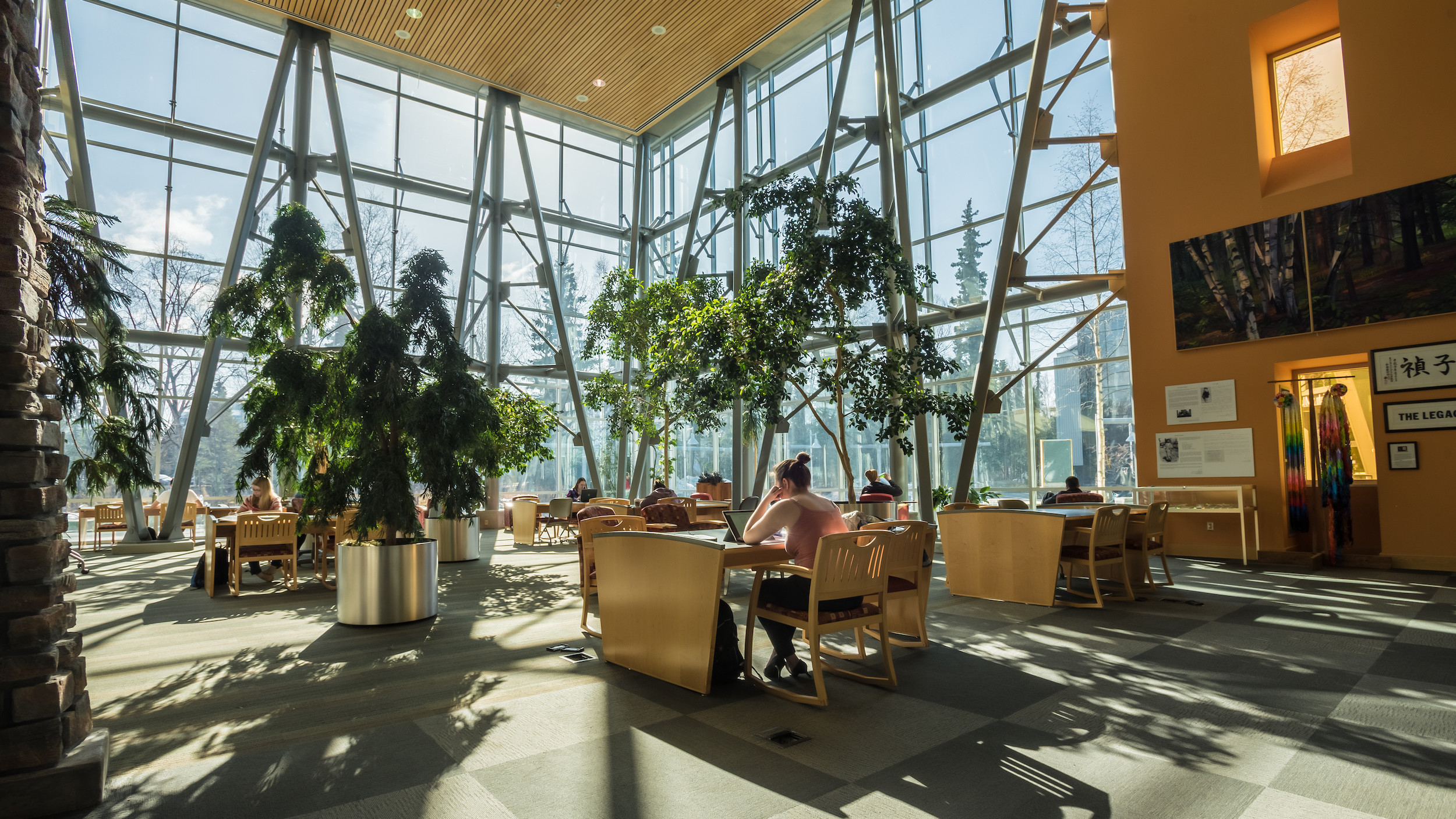 View of library from the inside, beautiful plants and sun shining through windows