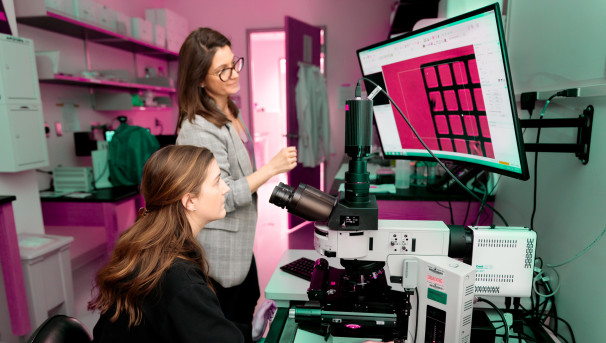 VT Neurotrauma Research Image