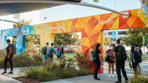 Ethnic Health Institute 2023