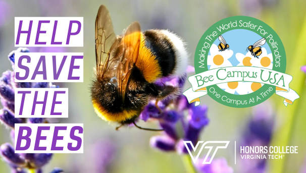 Bee Campus USA Image