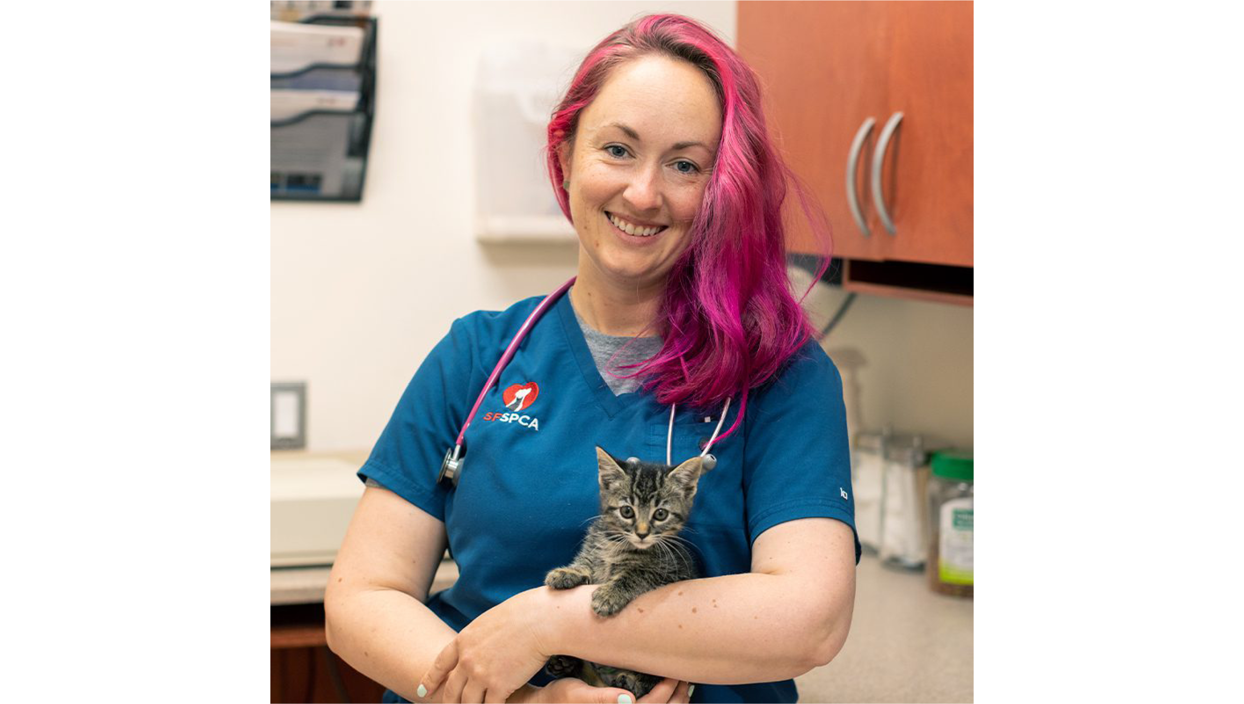 Lindsay Wilson, with pink hair and a pink stethoscope, holding a kitten