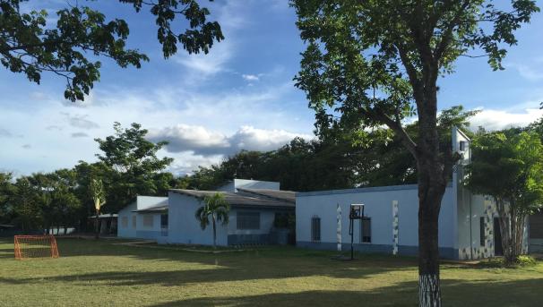 A side picture of small, white houses with a large tree line behind them