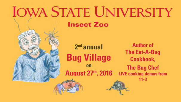 Insect Zoo's Eat-a-Bug experience Image