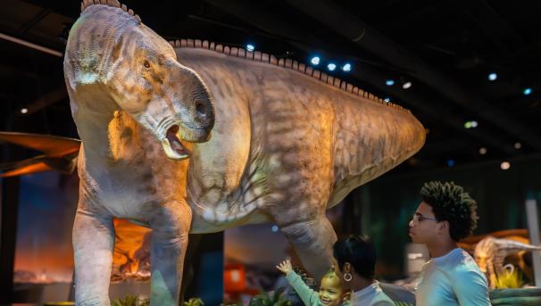 School students in matching tshirts learning in the museum.
