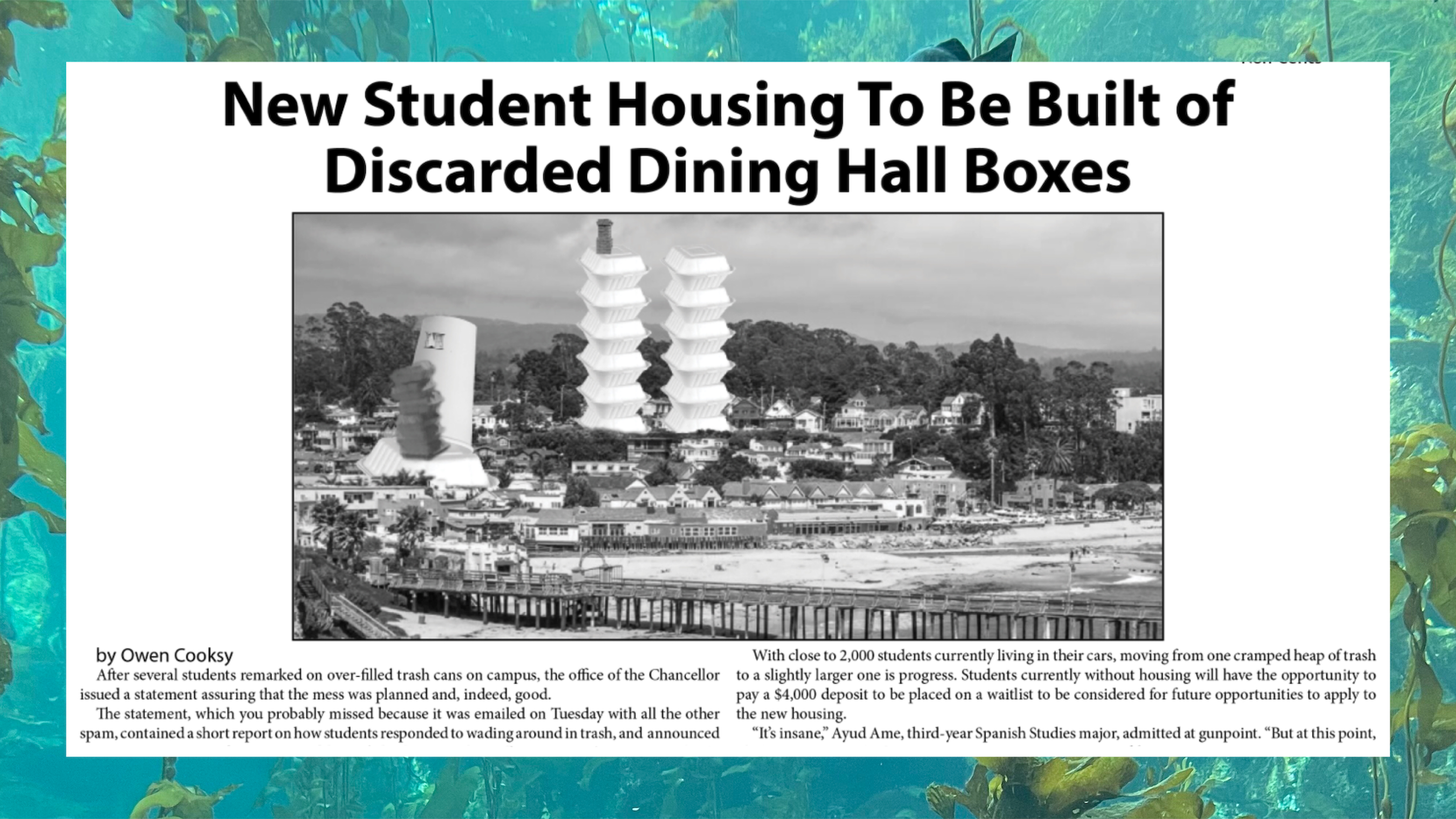 dining hall boxes