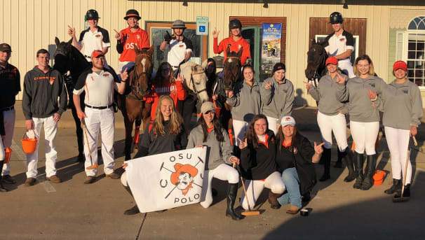 Shelters for OSU Horses Image