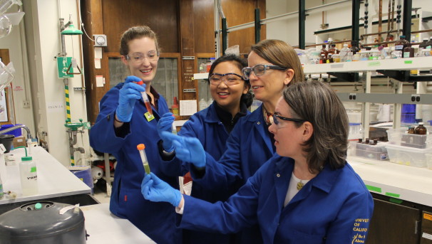 College of Chemistry Big Give Campaign Image