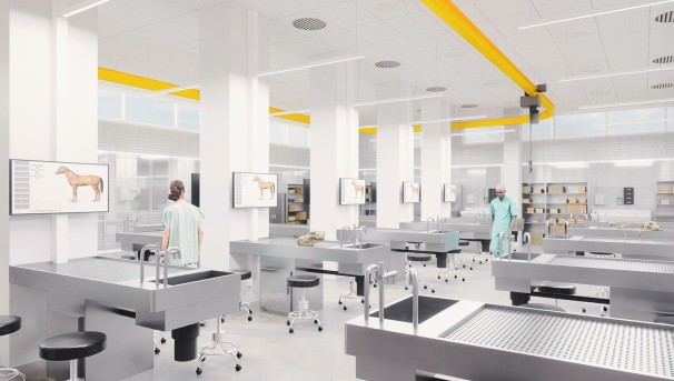 Rendering of the Anatomy Lab at Shreiber School of Veterinary Medicine