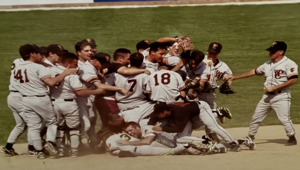 Support WPU Baseball - Fall 2025 Image