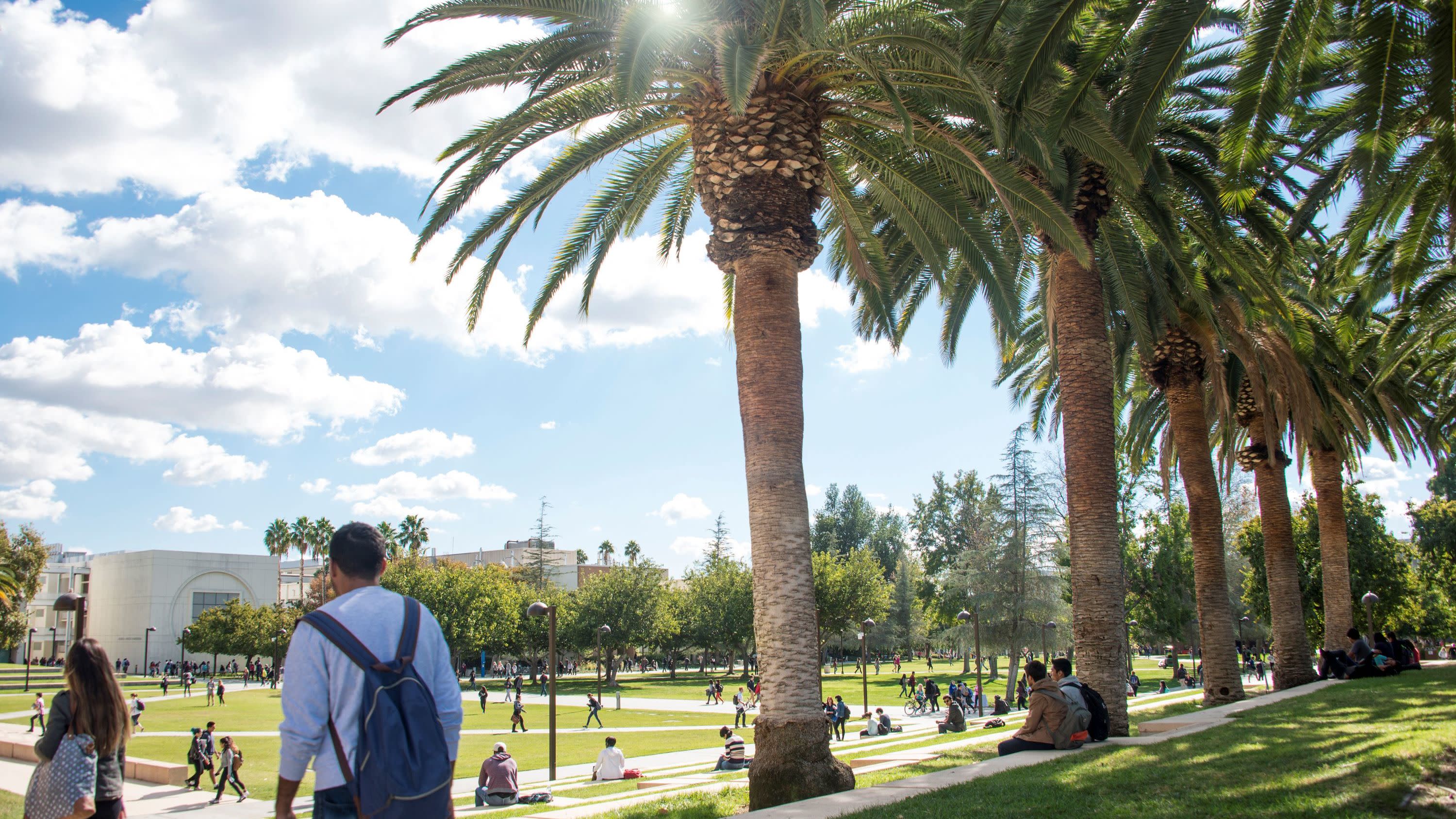 Students walking and relaxed on CSUN palm trees.