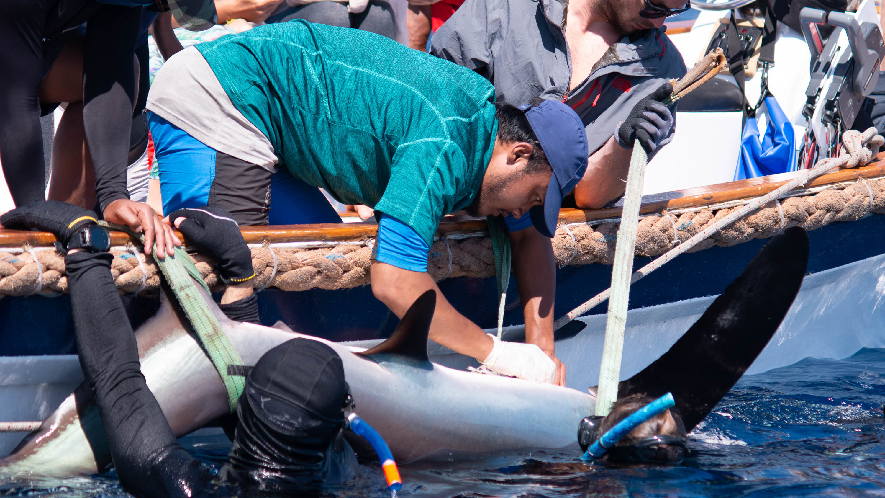 Coastal Science & Policy Program