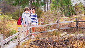 Expand and Make Arboretum Carnivorous Plant Bog Accessible