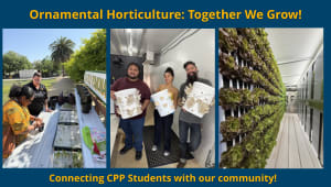 Ornamental Horticulture: Together We Grow!