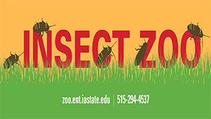 Insect Zoo: Love Our Bugs!