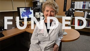 Carol J. Fabian Professorship in Breast Cancer