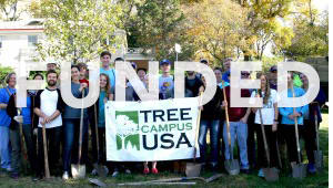 Replant Mt Oread "Trick or Trees:" Campanile Crabapples