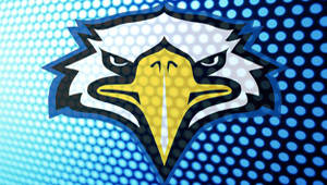 Strength & Conditioning Program