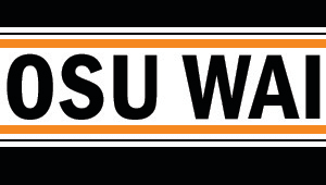 Fall 2024 - Women in Aviation International Conference 2025