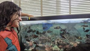 Student Research in the Evolutionary Ecology of Fishes Laboratory