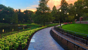 Restoring Mirror Lake Brick Program