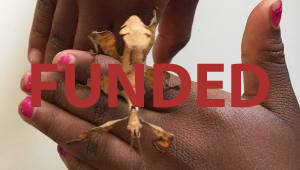 Support the Bug Zoo's big move to the new science building!