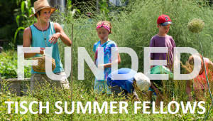 Tisch Summer Fellows