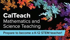 Promote excellence in STEM teacher education