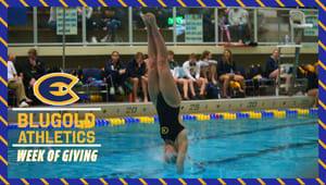 Swimming & Diving - Women's