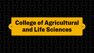 College of Agricultural & Life Sciences