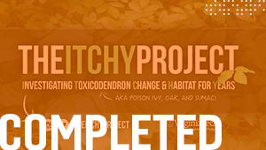 The ITCHY Project