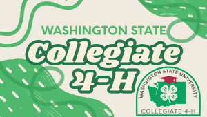 Washington State Collegiate 4-H