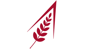 Palouse Aerospace - Help Us Reach New Heights!