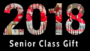 Class of 2018 Senior Gift