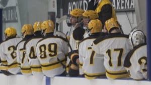 D3 Ice Hockey Fund for Playoffs