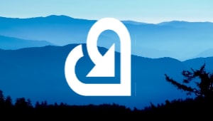 SVS: Alternative Breaks Fund