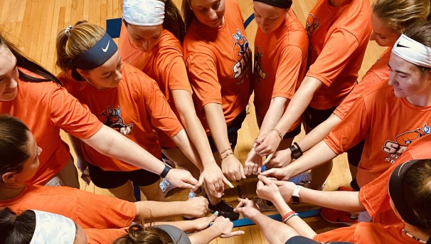 Salem State Softball Image