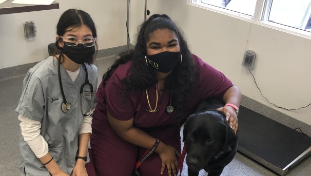 Vet Tech students with a happy Berrnedoodle.