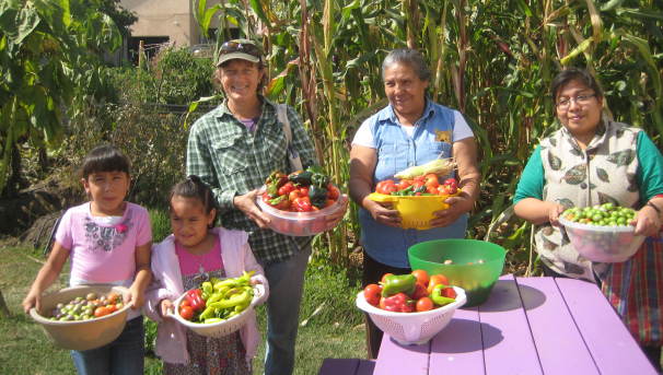 Cultivando Mesas Verdes Image