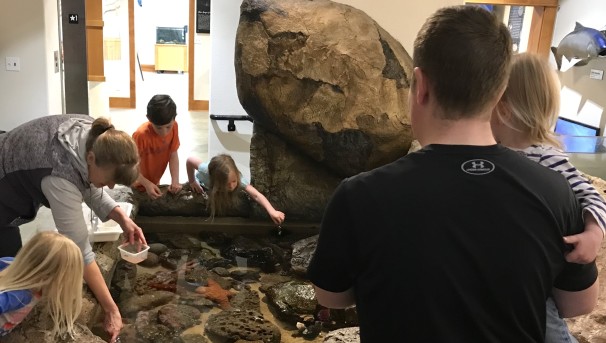 A group of children and families experience the touch tank