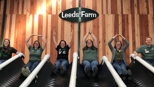 Six young adults are sitting at the top of 6 tube slides.