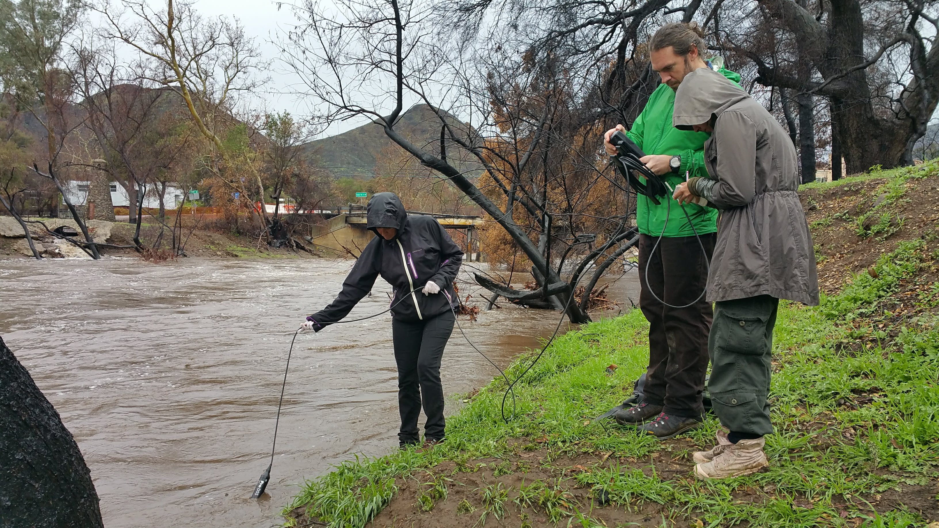 Roseanna Purzycki Environmental Research Endowment students collect field samples at a stream.