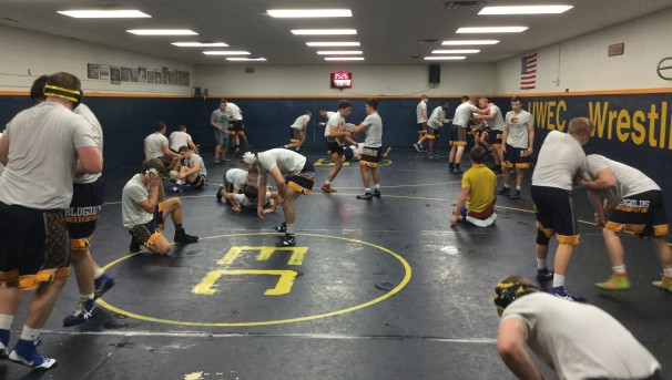 Blugold Wrestling Facility Upgrade Image