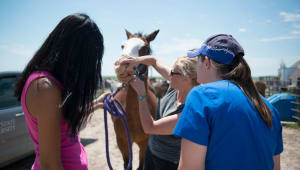Crow Creek Service Project